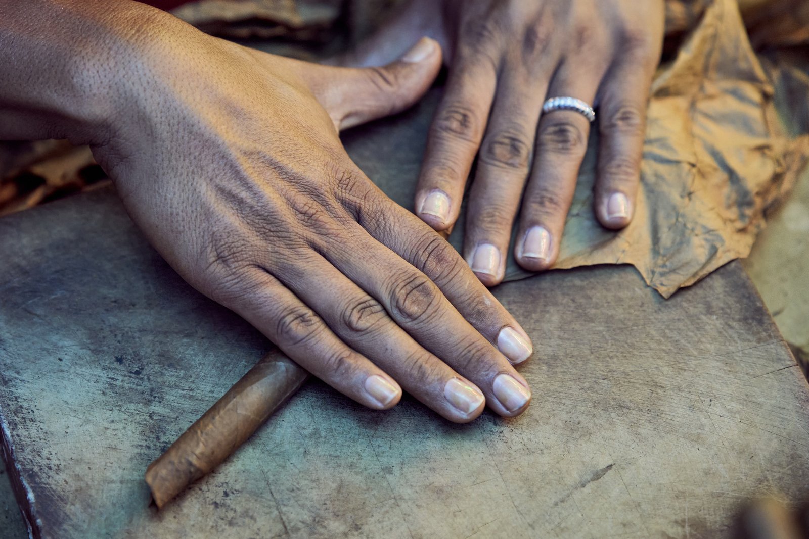 708 Cigar Rolling With Master Bomba at Quakertown